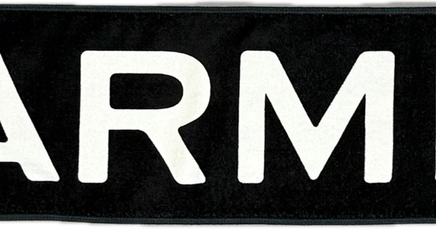 GARMIN RUN